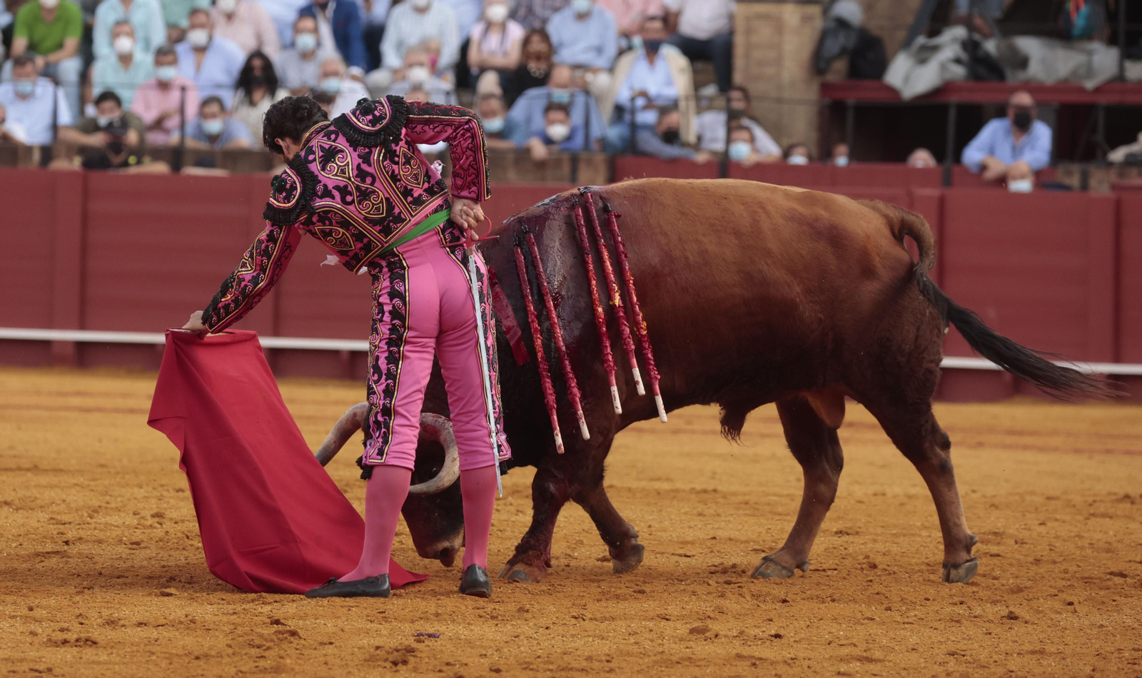 Las imágenes del triunfo de Morante en San Miguel