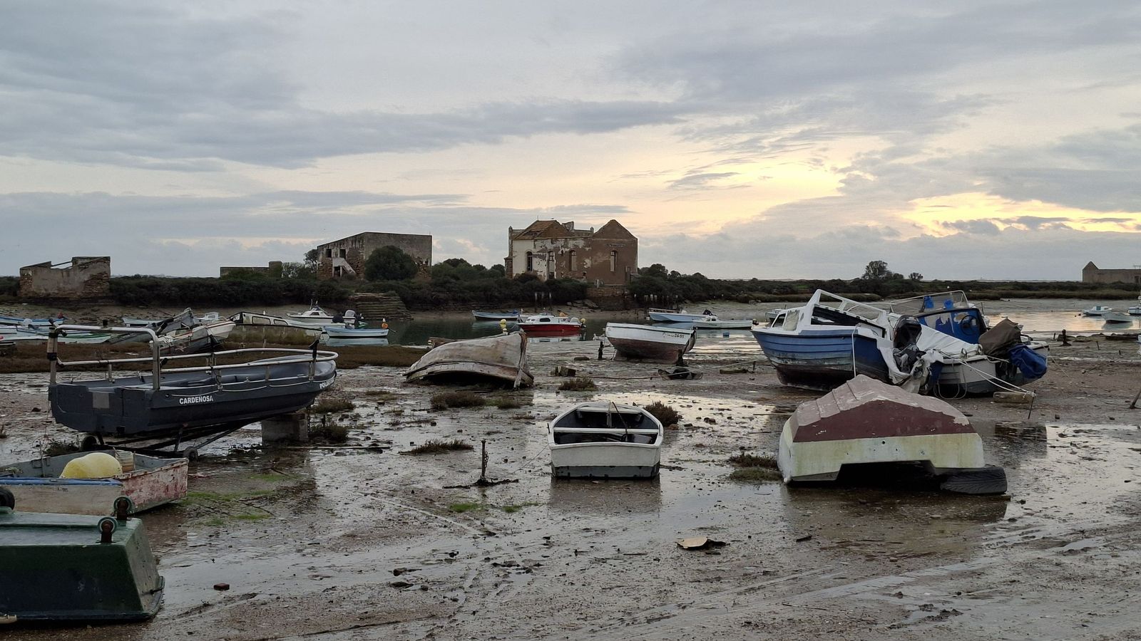 Isla del Trocadero de Puerto Real (7)