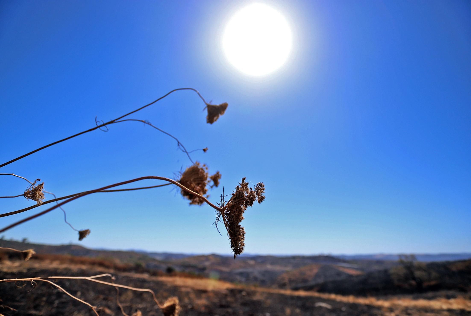 Imágenes de las zonas devastadas por el incendio de Almonaster la Real