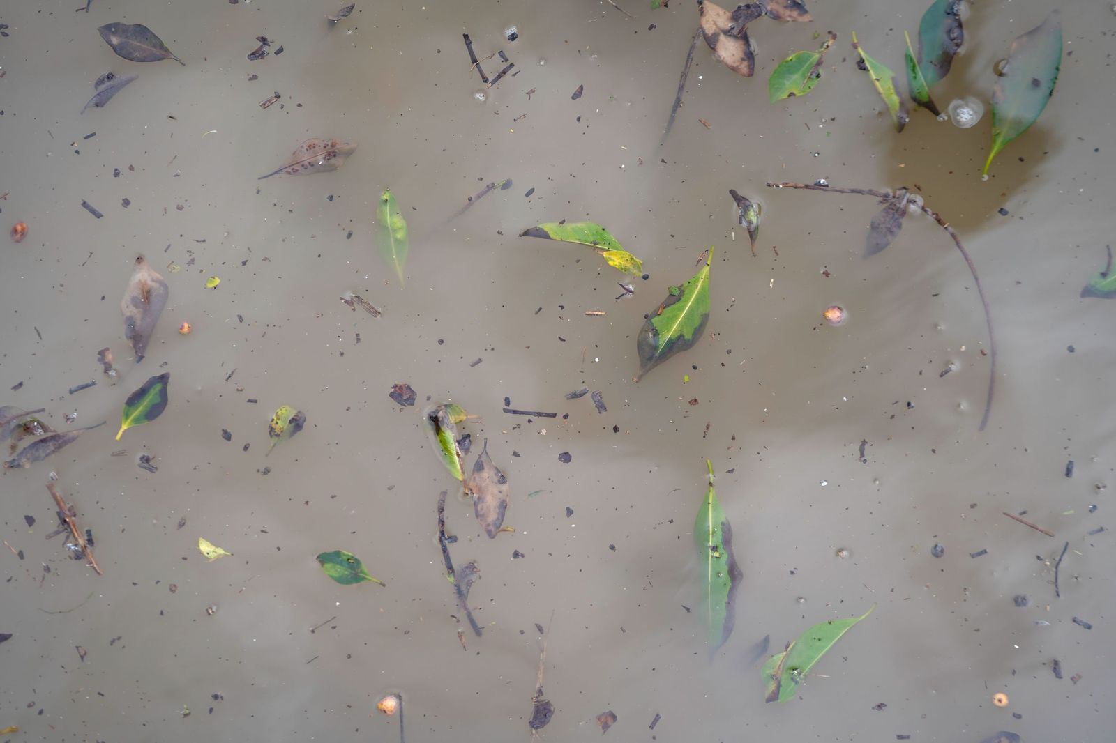 Una mañana en el paseo de la cornisa en Algeciras