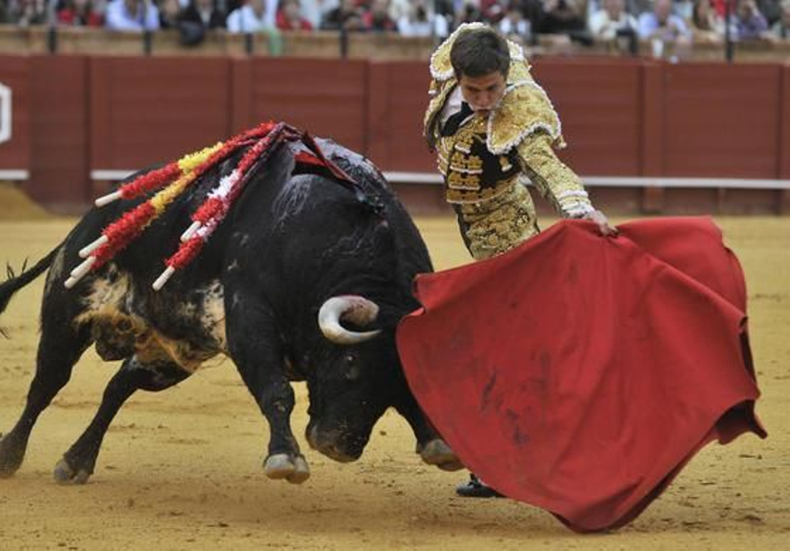 El Juli, en su segunda aparición.

Foto: Juan Carlos Muñoz