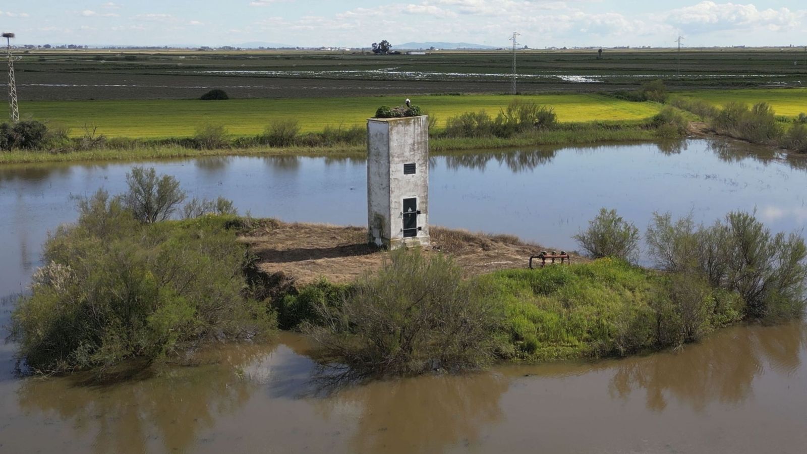 Lagunas inundadas de agua en las inmediaciones de Doñana, en una imagen de archivo.