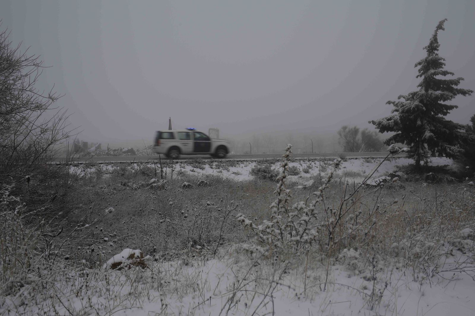 La nevada en el interior de Málaga, en imágenes
