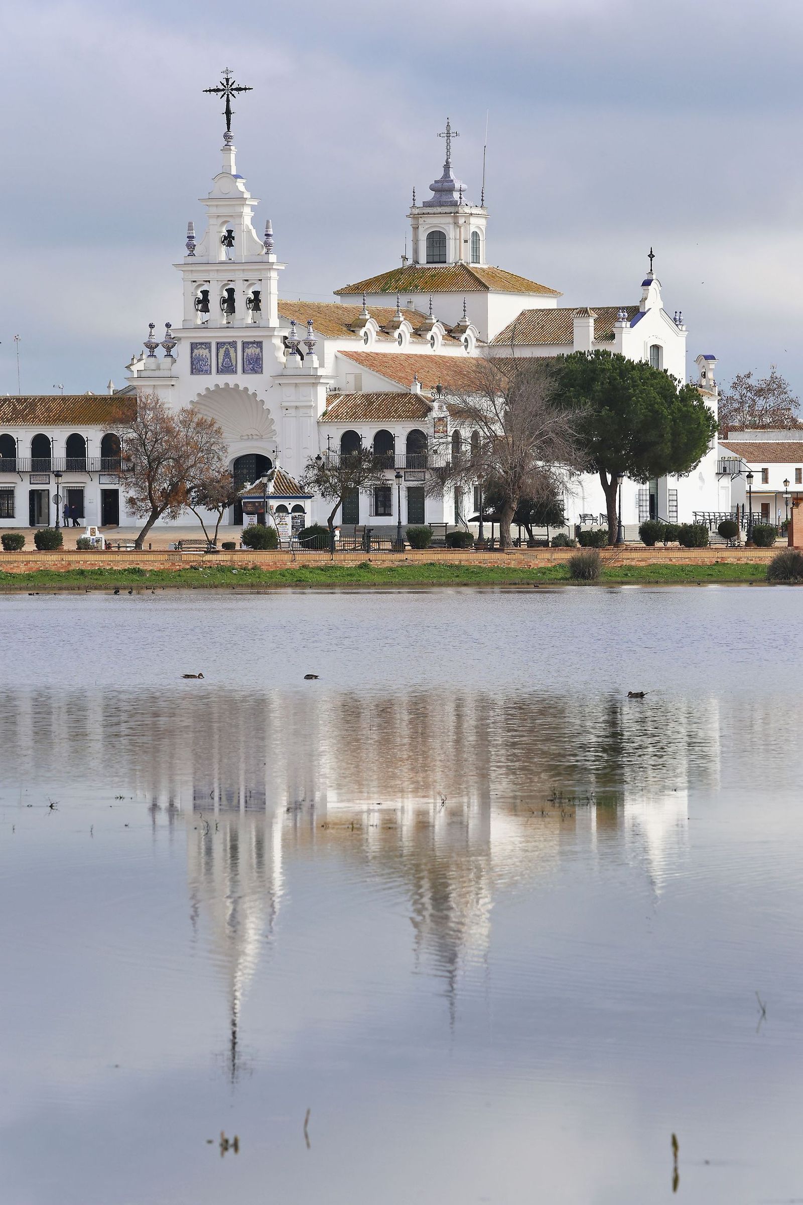 Estado actual en el que se encuentran las Marismas del Rocío tras las últimas lluvias