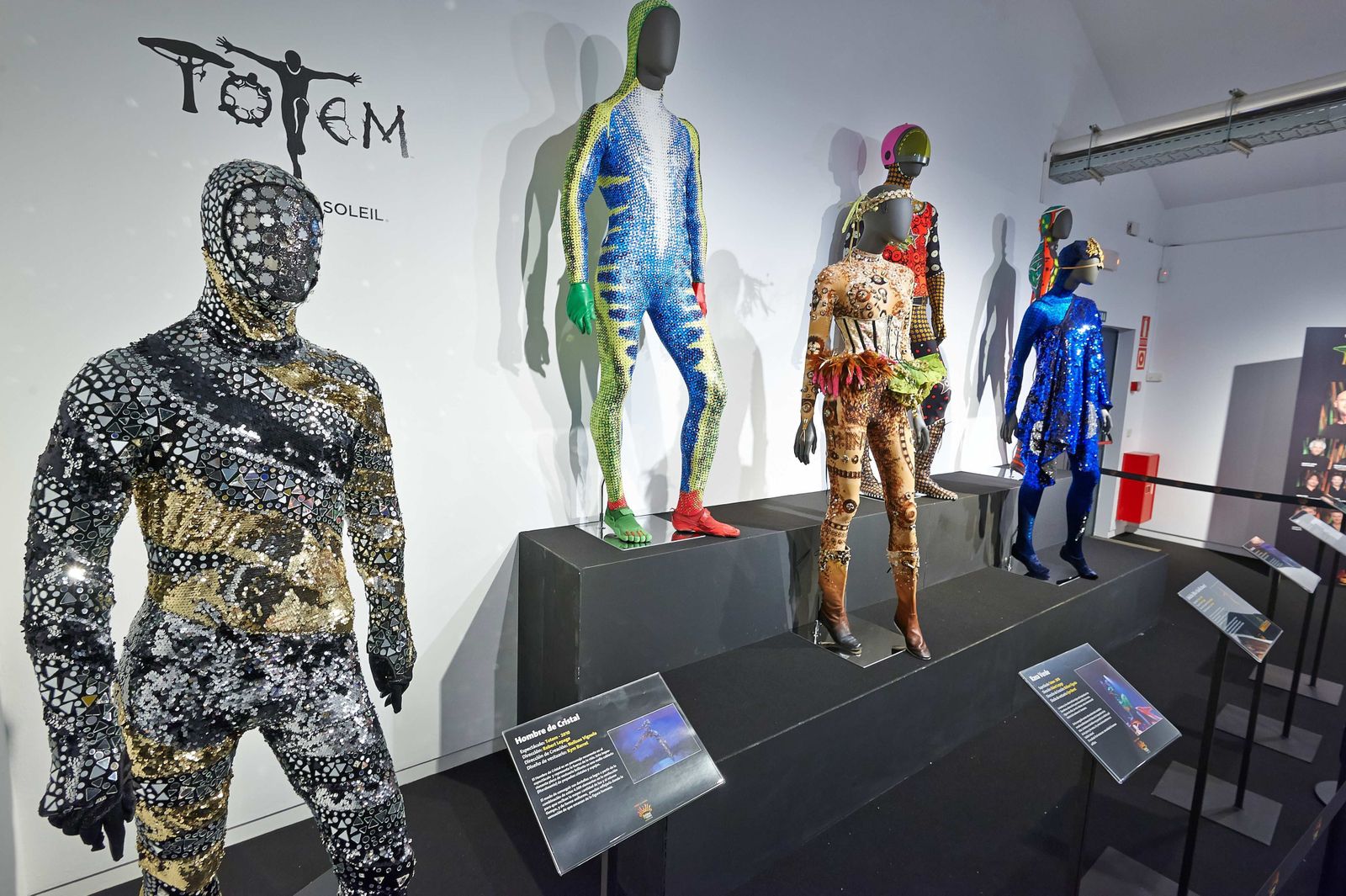 Por los territorios del asombro