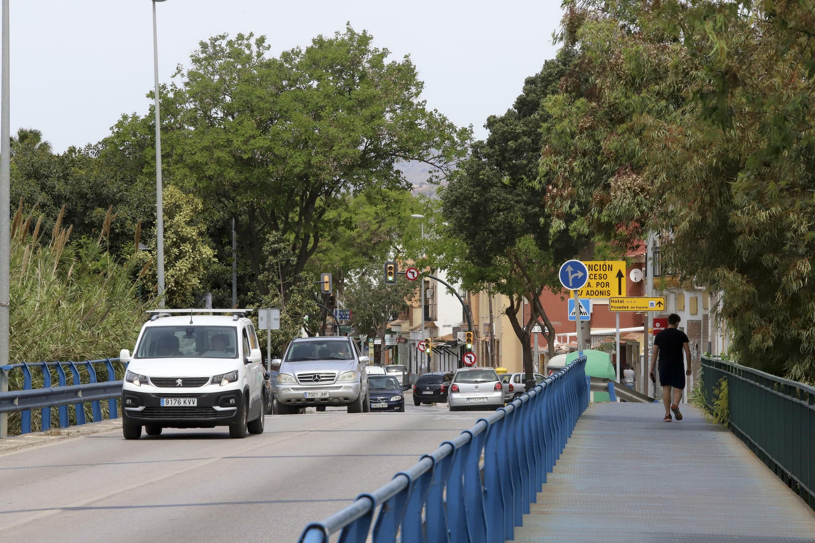 Campanillas en fotos