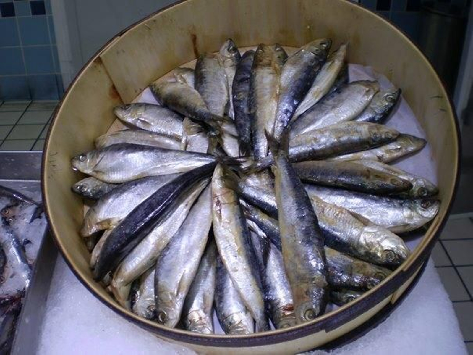 Sardina: 'Sardina pichardus'