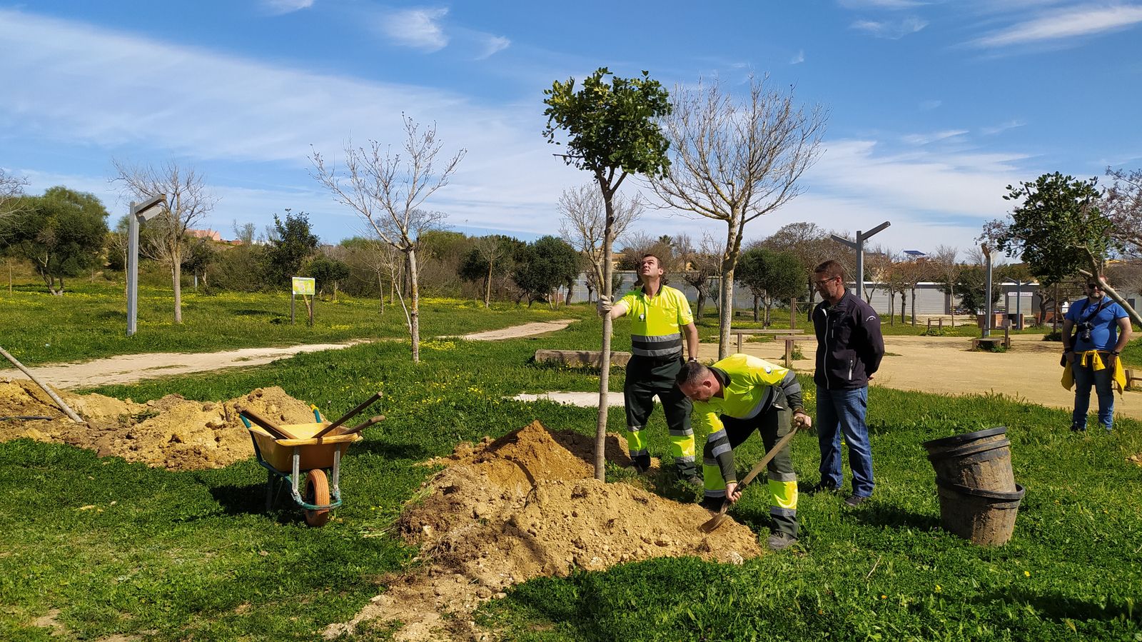 Así ha sido la plantación de árboles en el Cerro por alumnos del colegio Camposoto