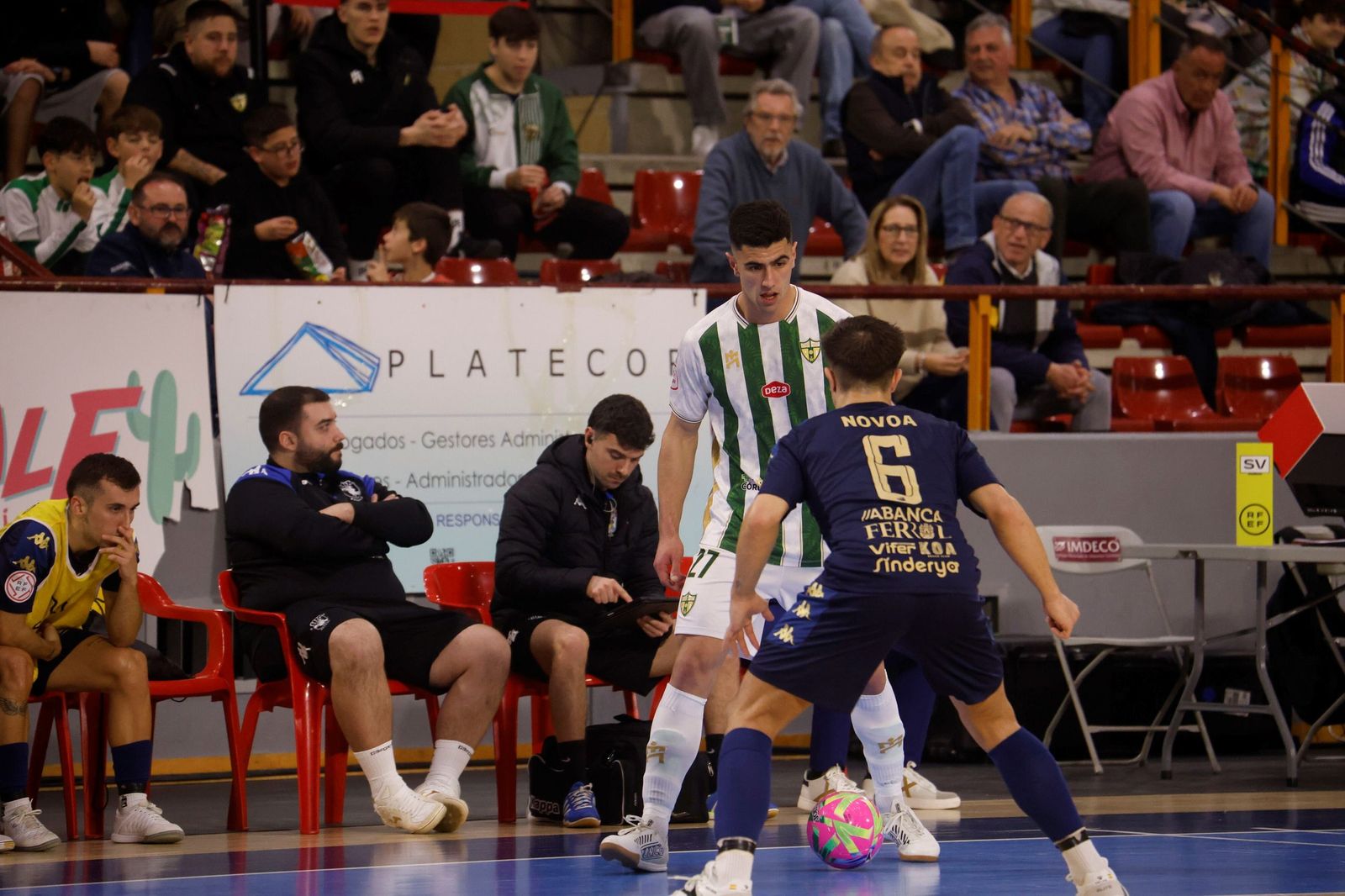 Las mejores fotos del ambiente en Vista Alegre para el Córdoba Futsal - O Parrulo Ferrol