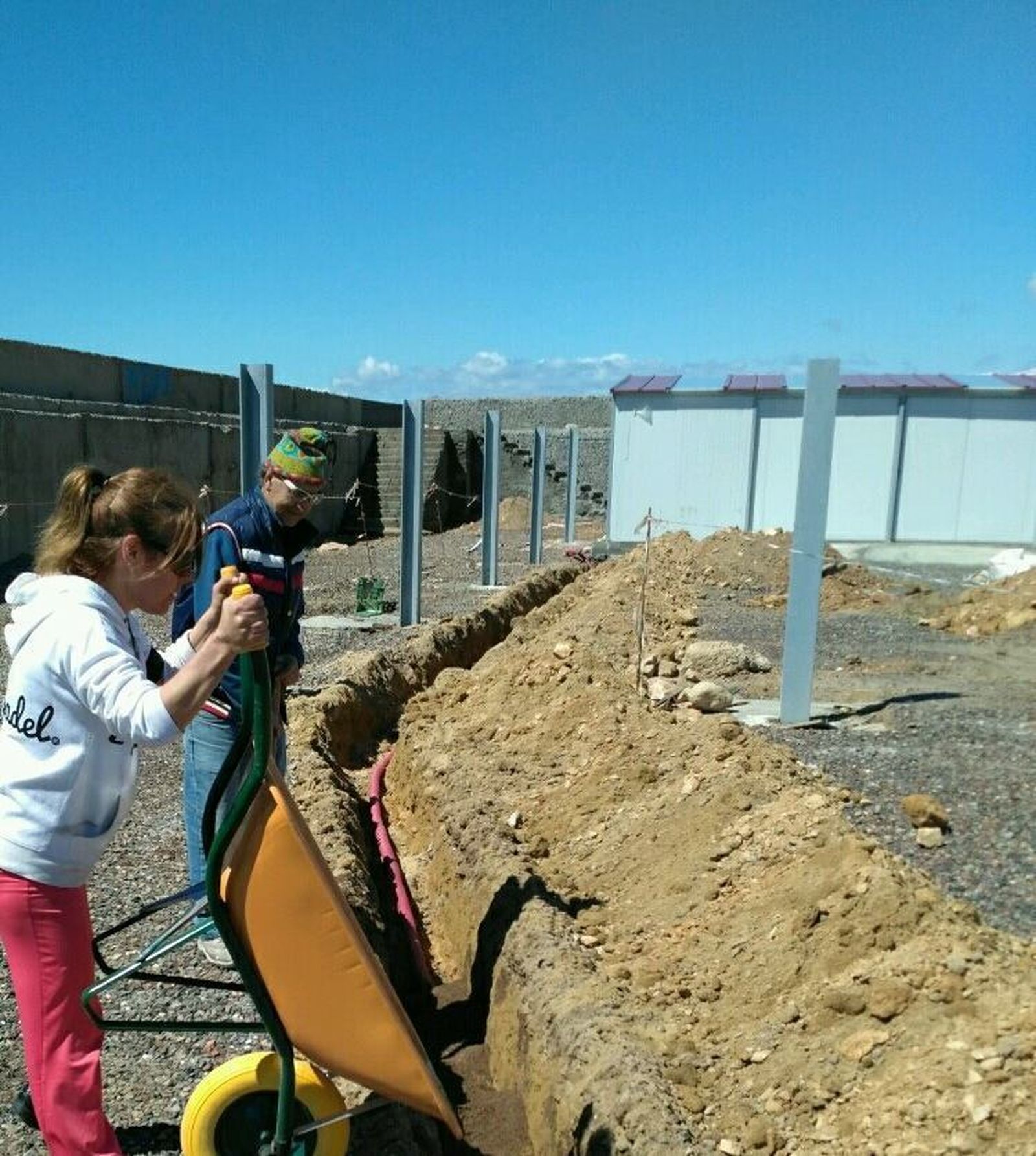 La clínica de los animales  marinos