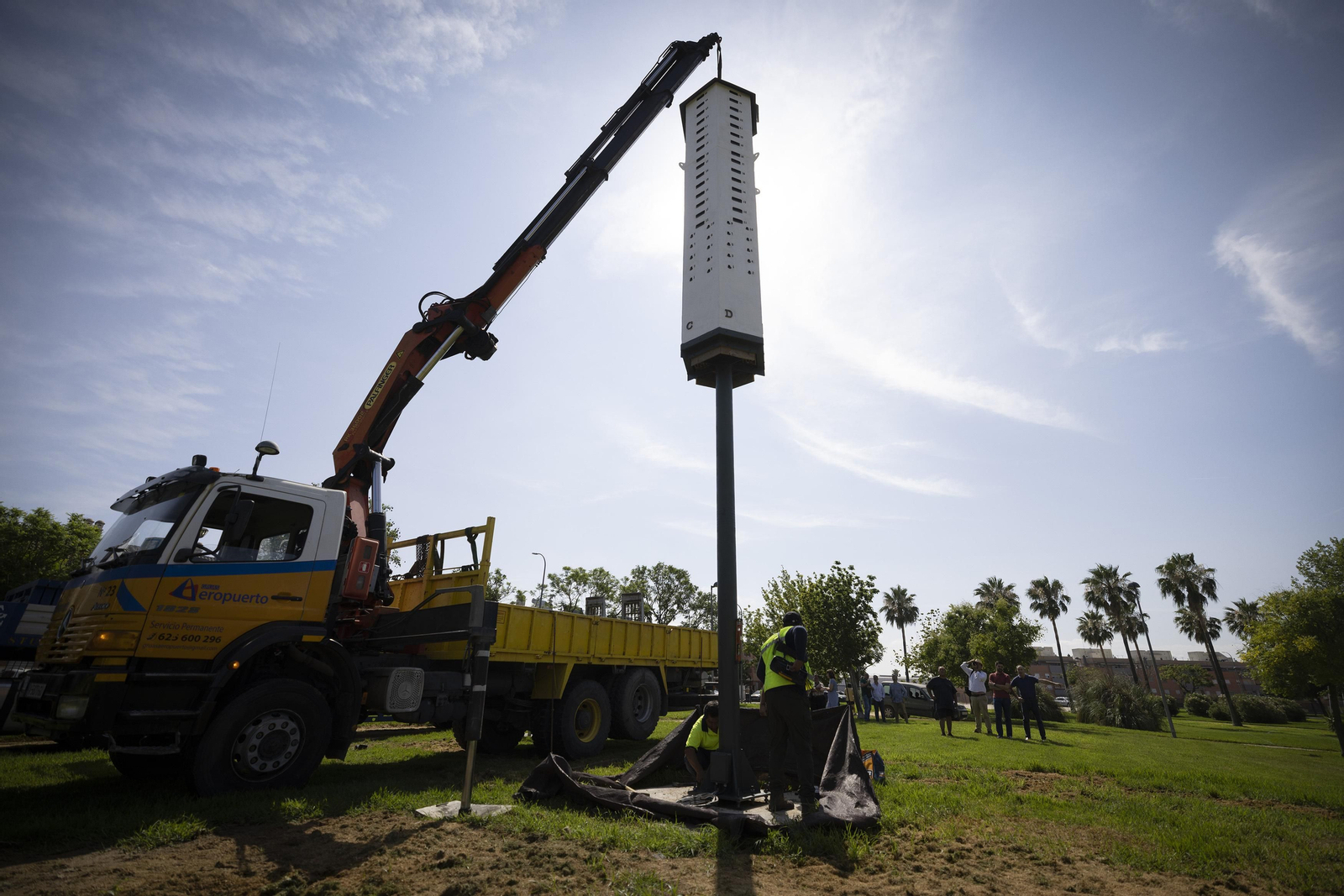 La primera torre-nido de España para el control del virus del Nilo, todas las imágenes