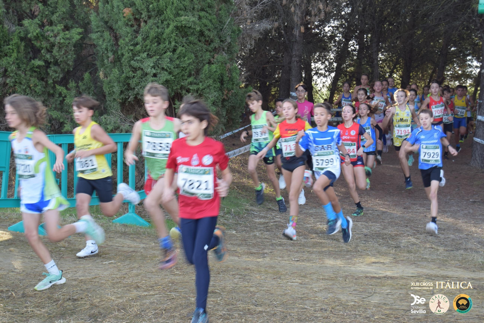 Búscate en las fotos del Cross de Itálica 2025 | 8