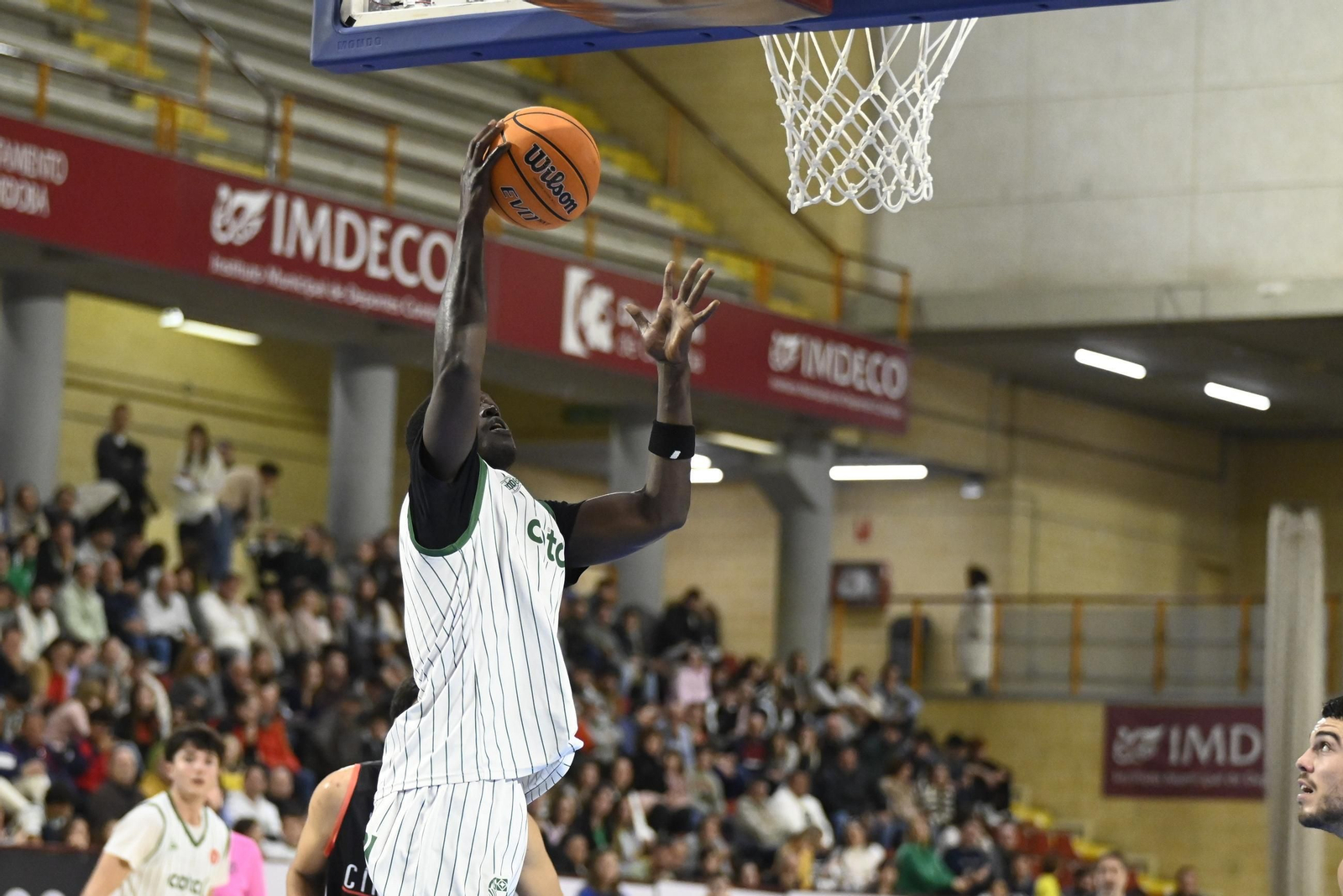Las mejores fotos del ambiente en Vista Alegre para el Coto Córdoba - Círculo Gijón