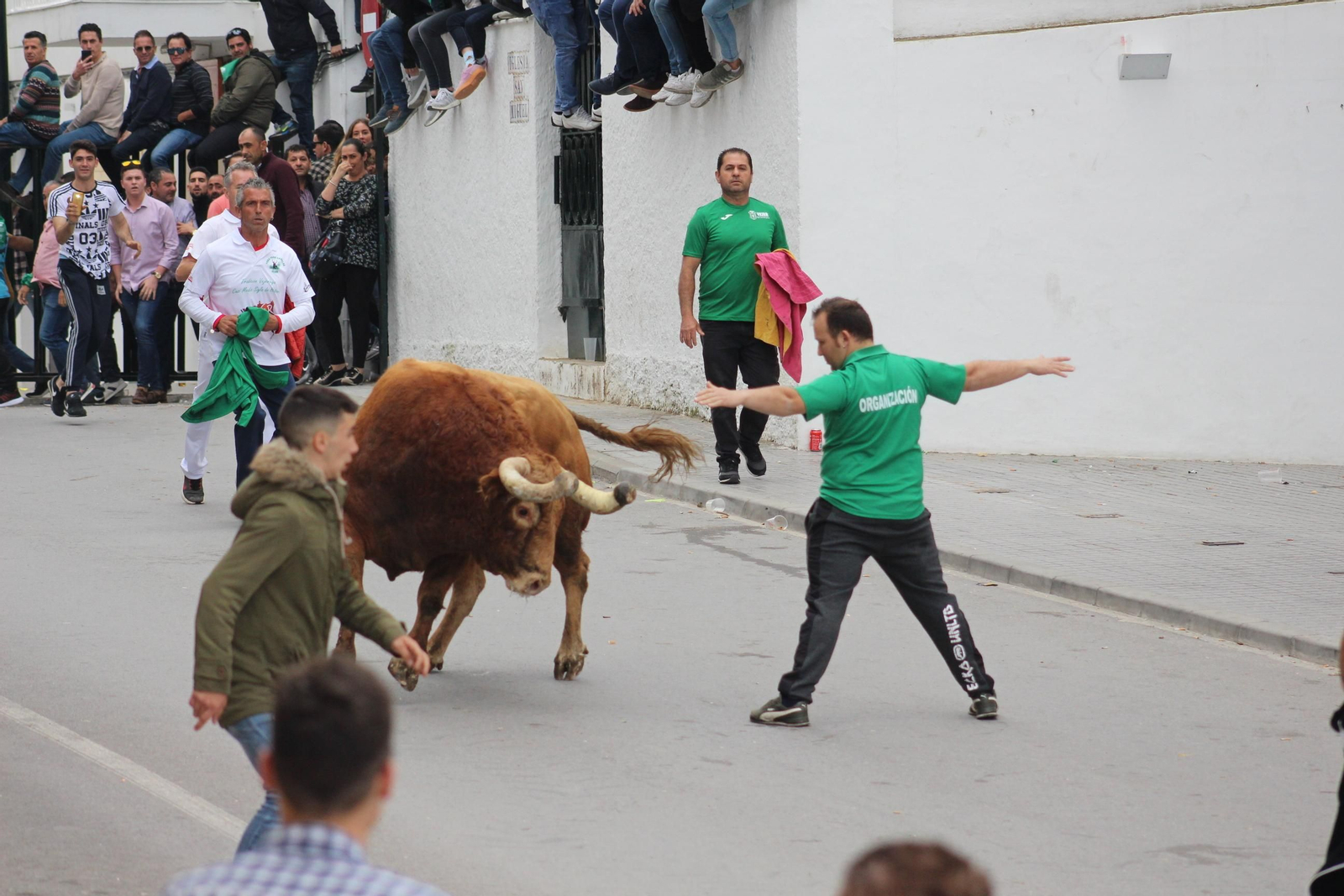 El Toro Embolao de Vejer.