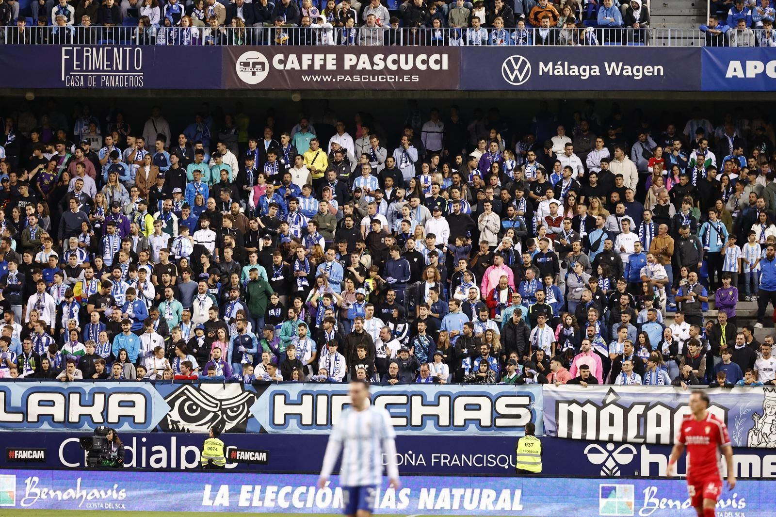 Búscate en las gradas de La Rosaleda en el Málaga CF-Córdoba