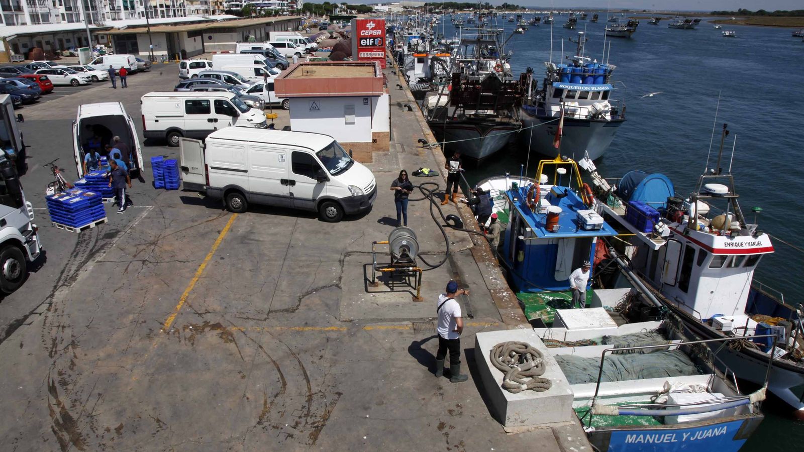 Actividad en el puerto pesquero de Punta Umbría
