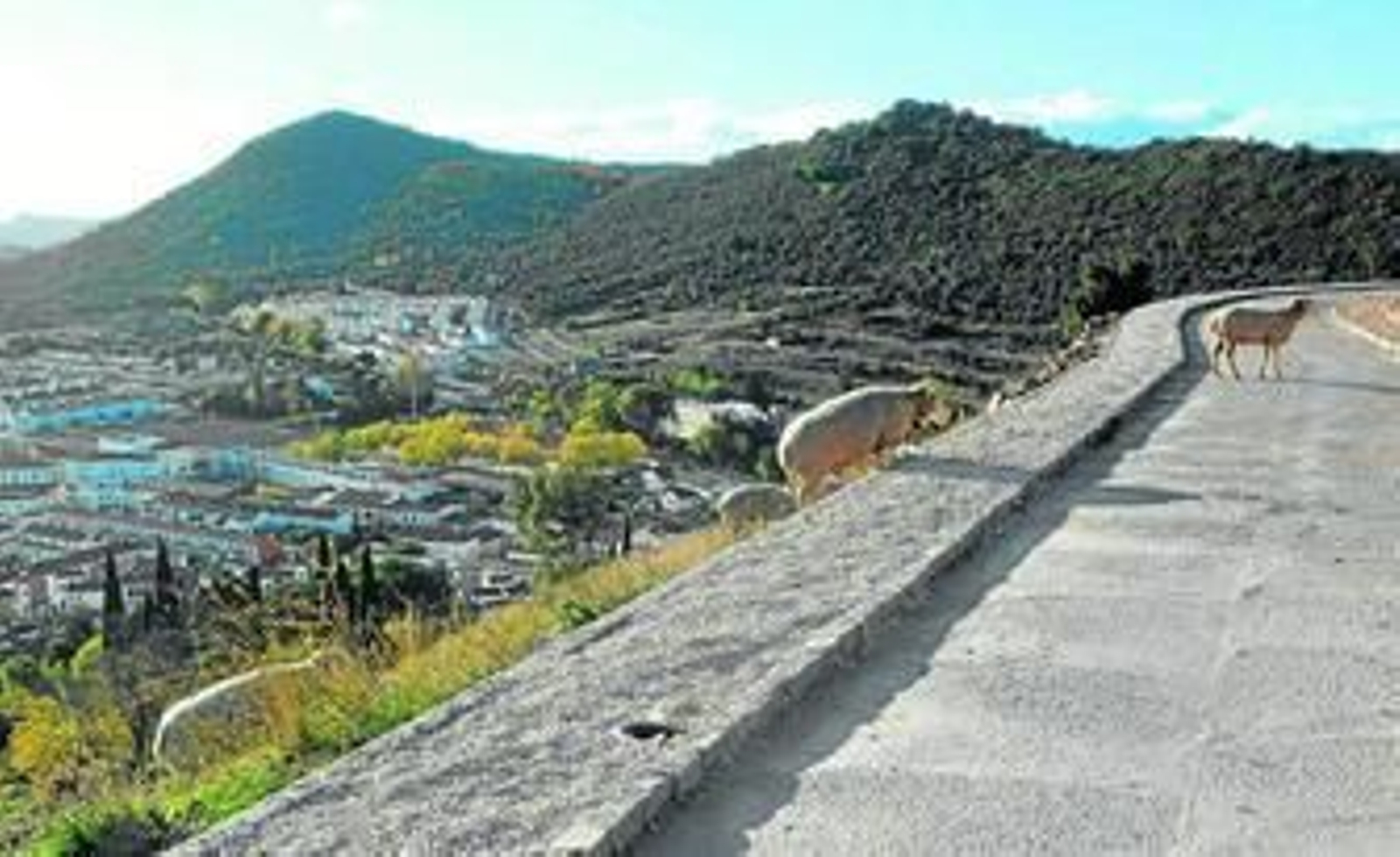 Un rebaño cruza por el camino del entorno del Castillo de Aracena