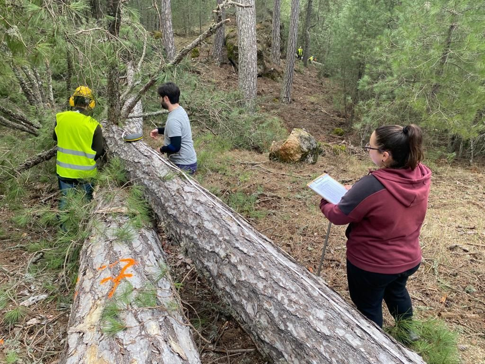 La UGR utiliza madera local y tecnología propia en la restauración del Hospital Real