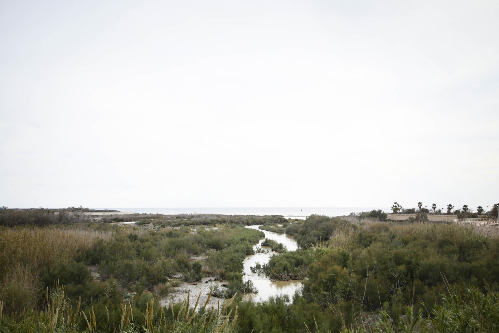 La desembocadura del río Andarax, en imágenes