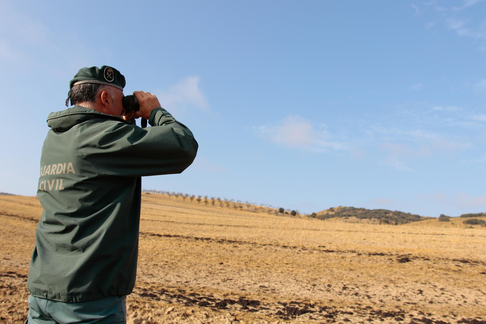 Así busca el Seprona de Granada a la pantera o el gato grande de Ventas de Huelma