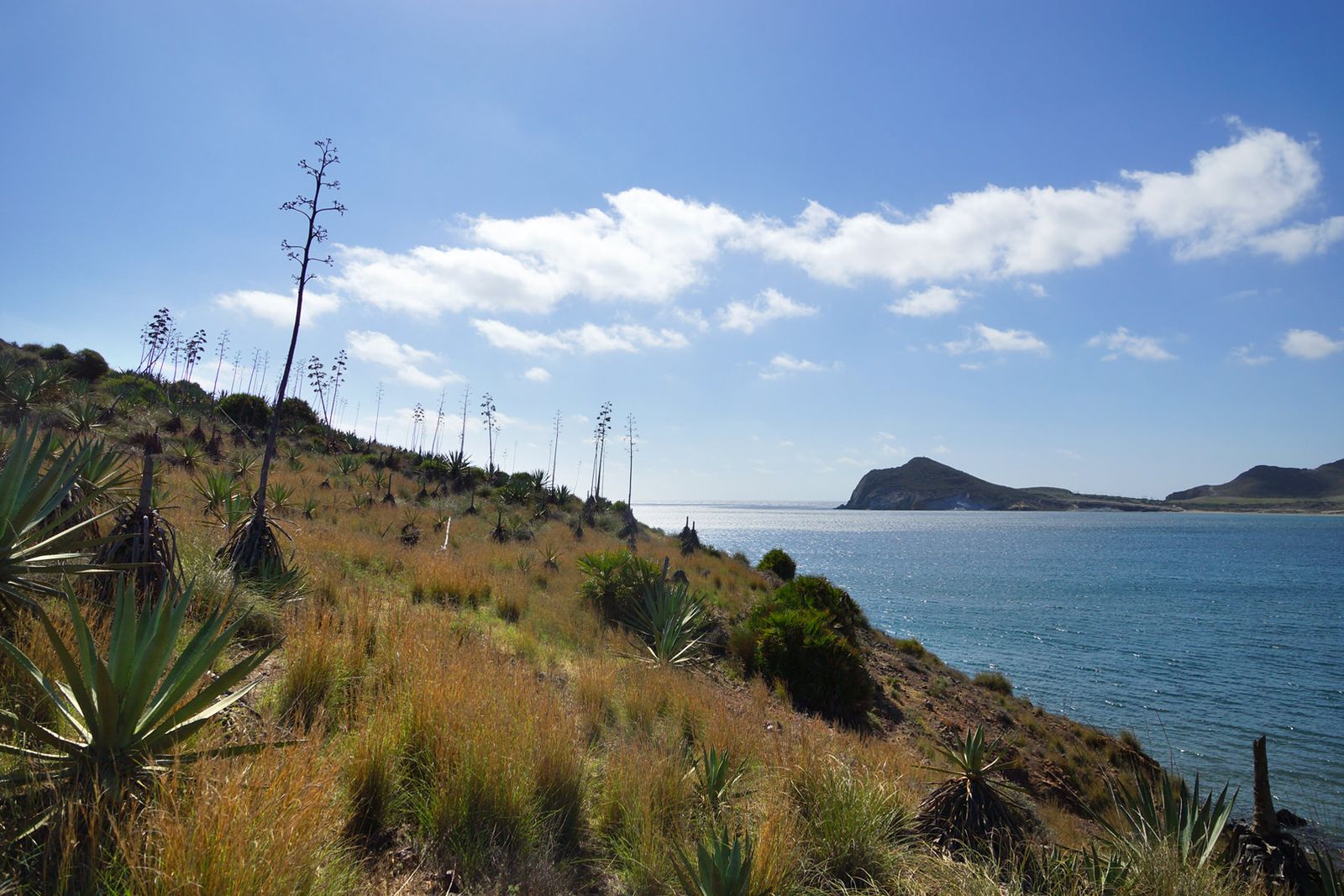 Playa de Los Genoveses, donde fue interceptado el barco-patera.