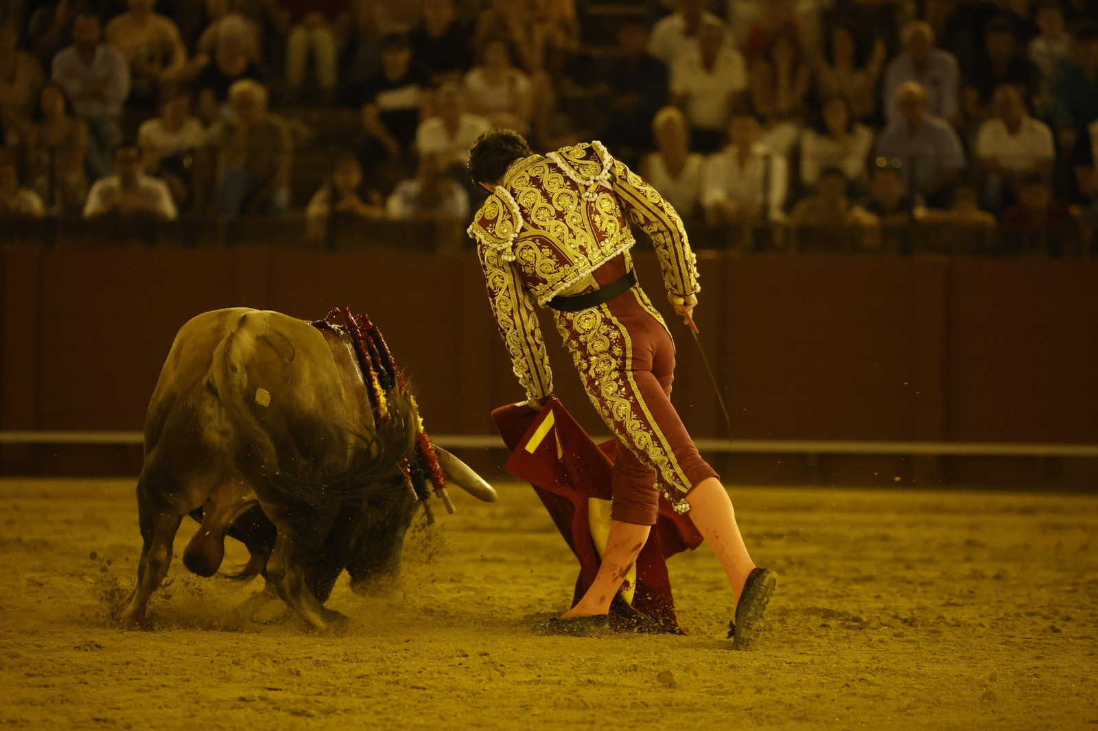 Las imágenes de la novillada en la Maestranza
