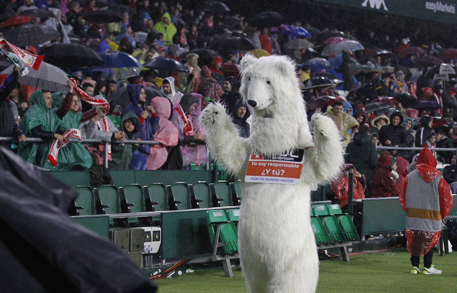 Las imágenes del Antoniano-Betis