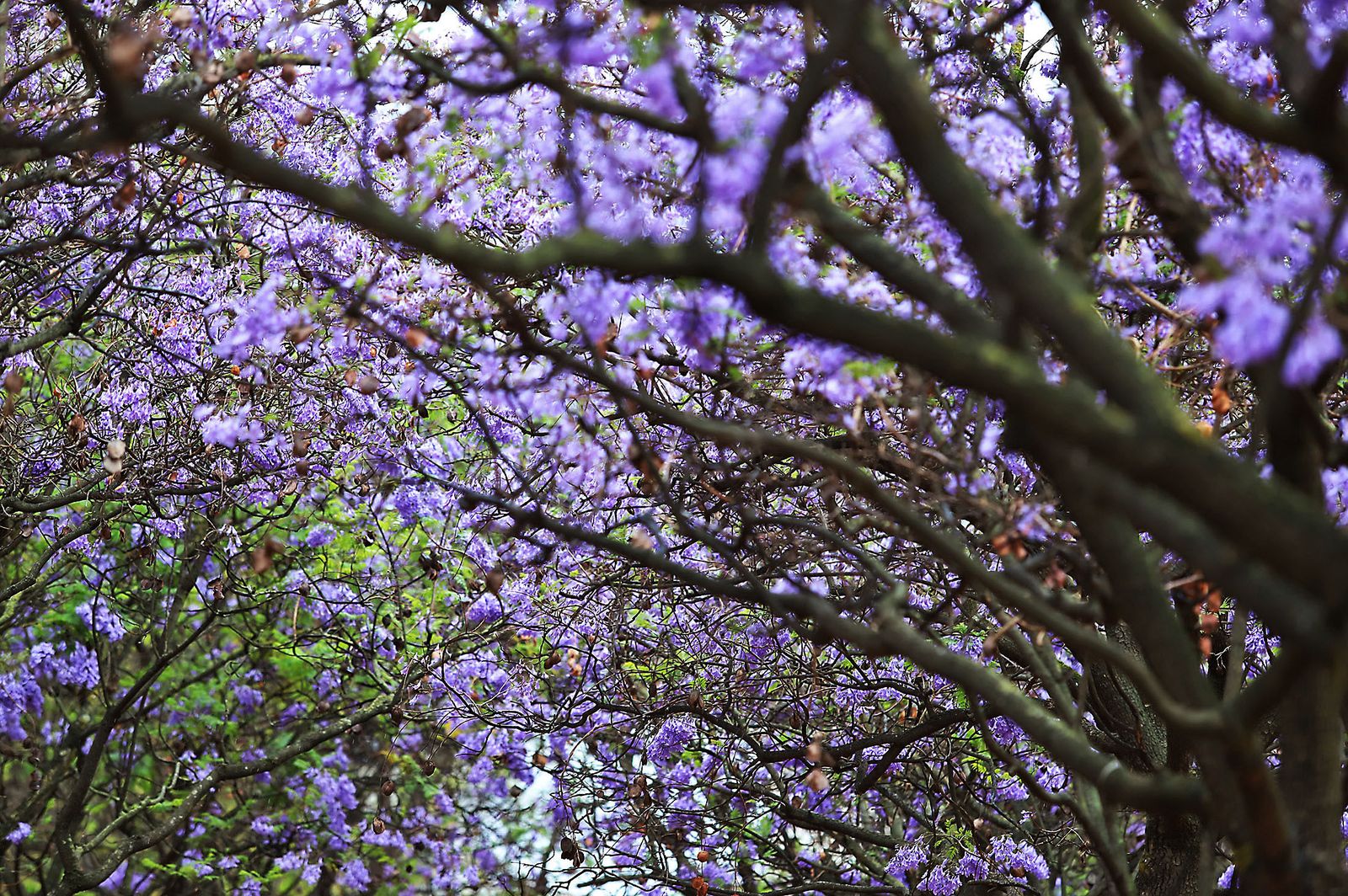 La lluvia en la jornada de domingo en Huelva