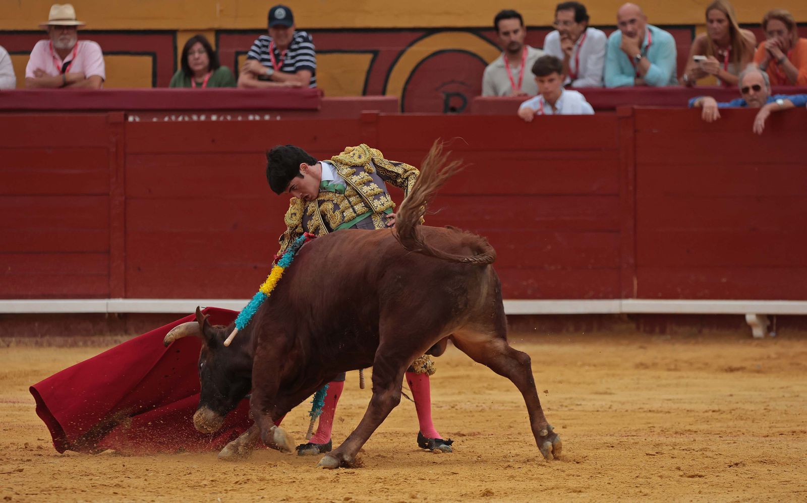 Pablo Lozano  (3).jpg