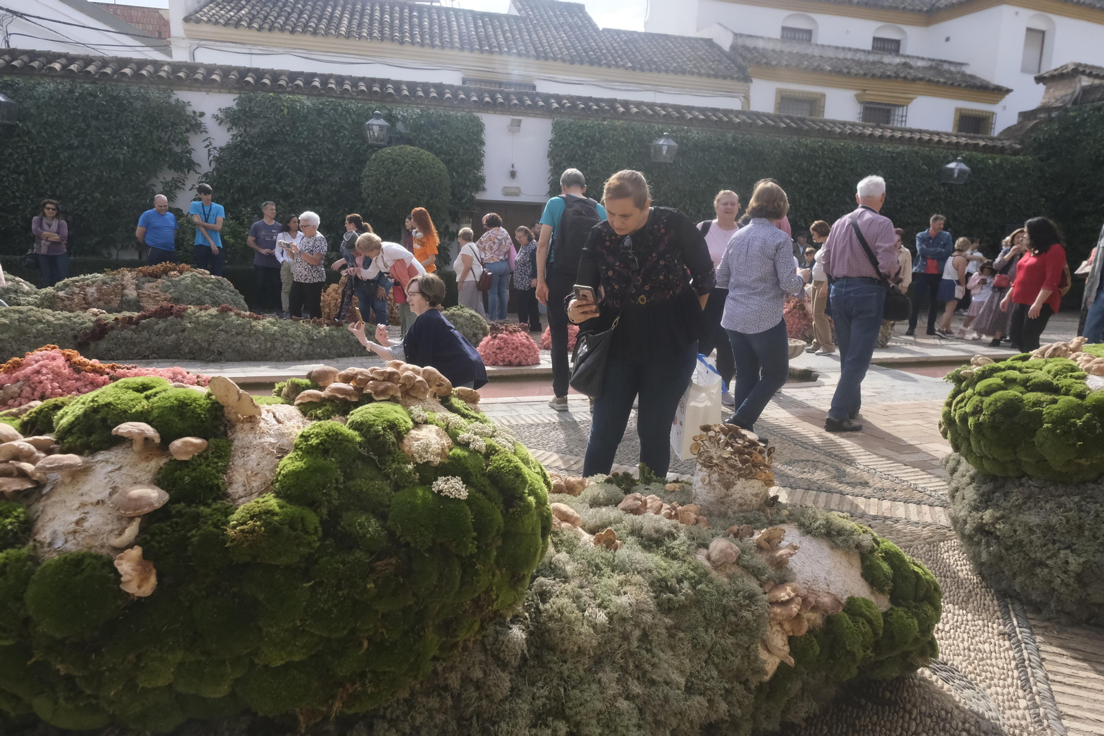 Un recorrido por los patios del Festival Flora 2022 de Córdoba, en imágenes