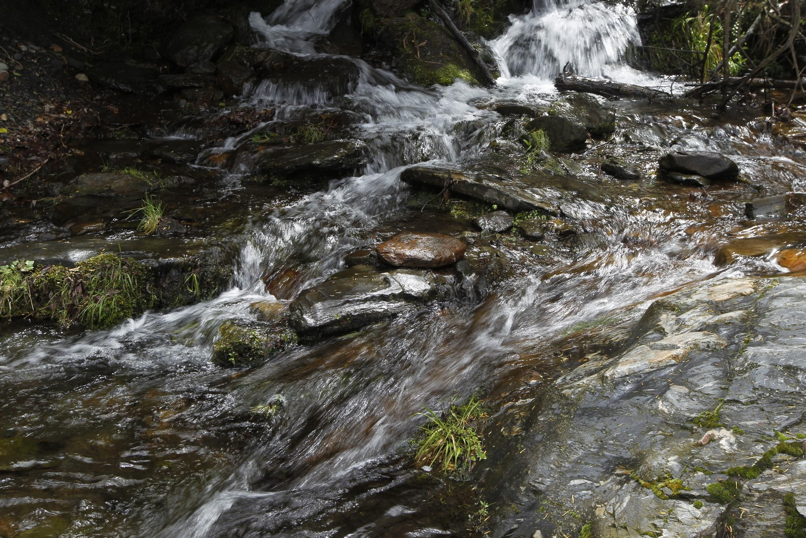 Naturaleza desconfinada. La Roza (Abrucena)