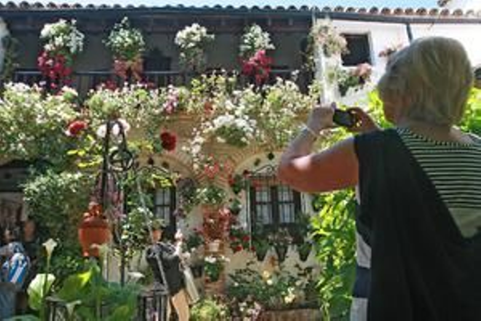 Foto: O. Barrionuevo