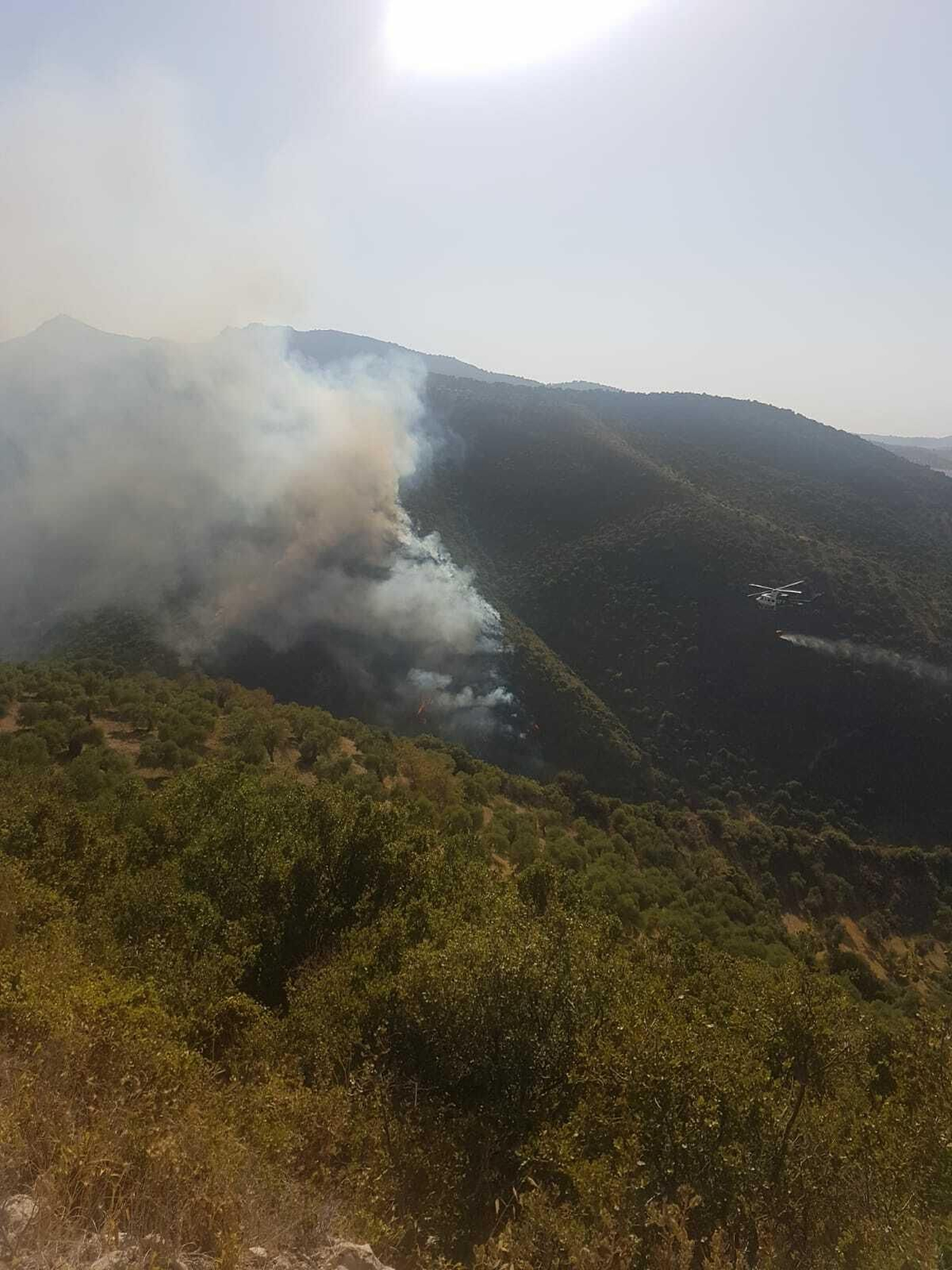 Imagen reciente del incendio en Zahara de la Sierra.