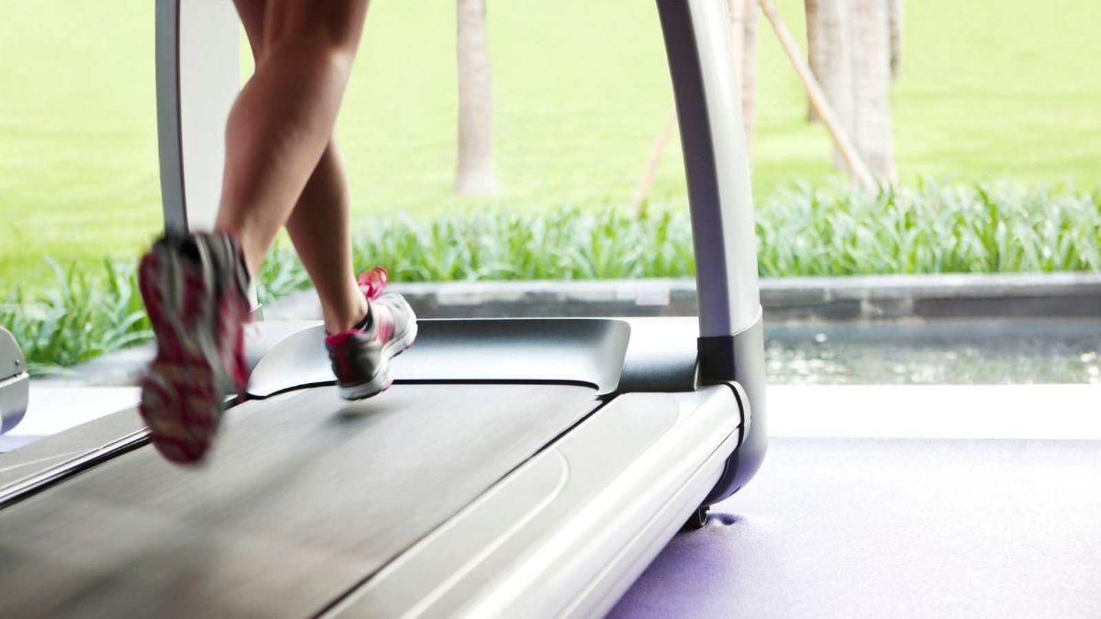 Las 10 mejores cintas de correr del 2025 Las 10 mejores cintas de correr del 2025