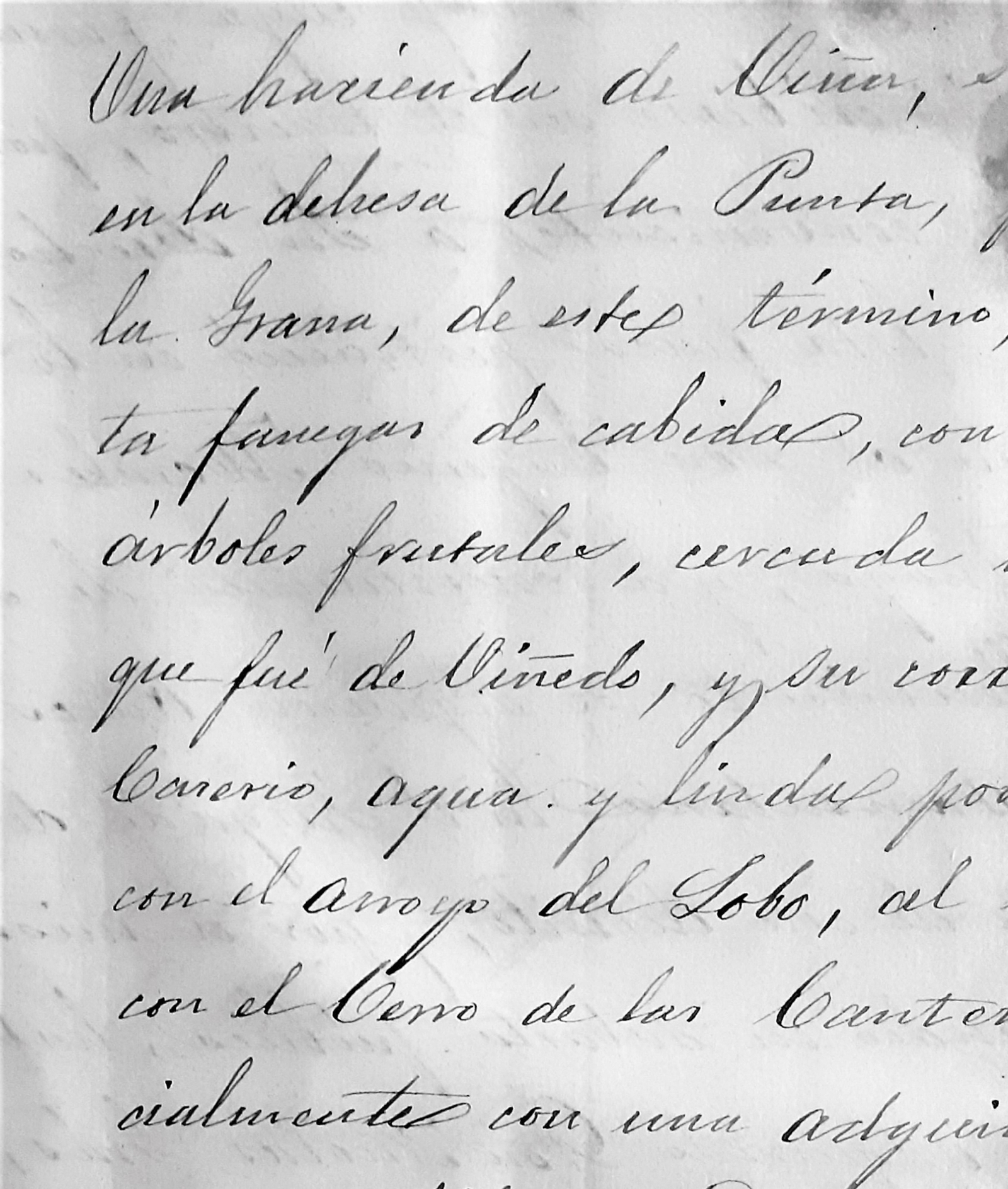 Una hacienda de viña en la dehesa de la Punta que linda con el arroyo del Lobo.