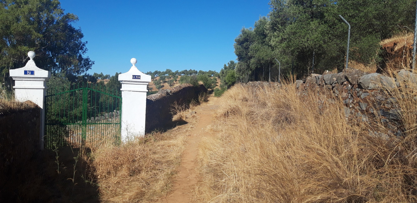 Las fotos de la Circular del Campovid