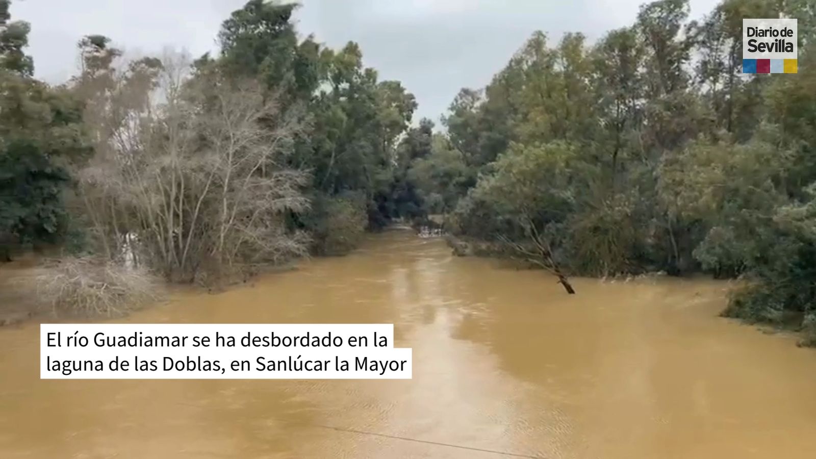El río Guadiamar, desbordado en laguna de Las Doblas, en Sanlúcar la Mayor