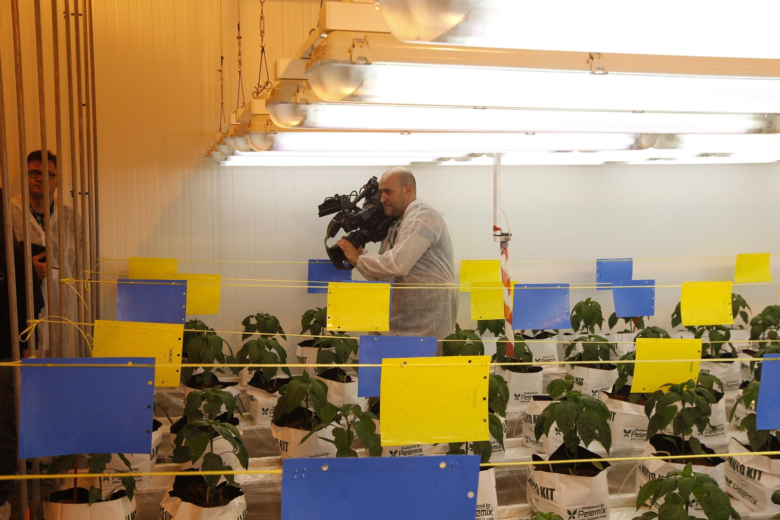 Fotogalería presentación resultados Bayer