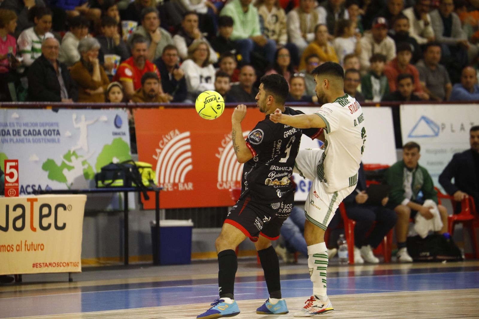 Las mejores fotos del ambiente en Vista Alegre para el Córdoba Futsal - Noia