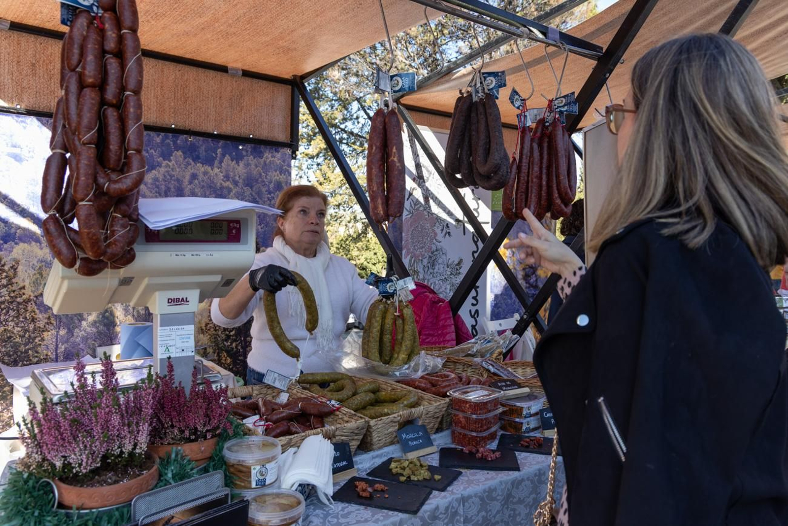 XLV Fiesta de la Aceituna en Martos