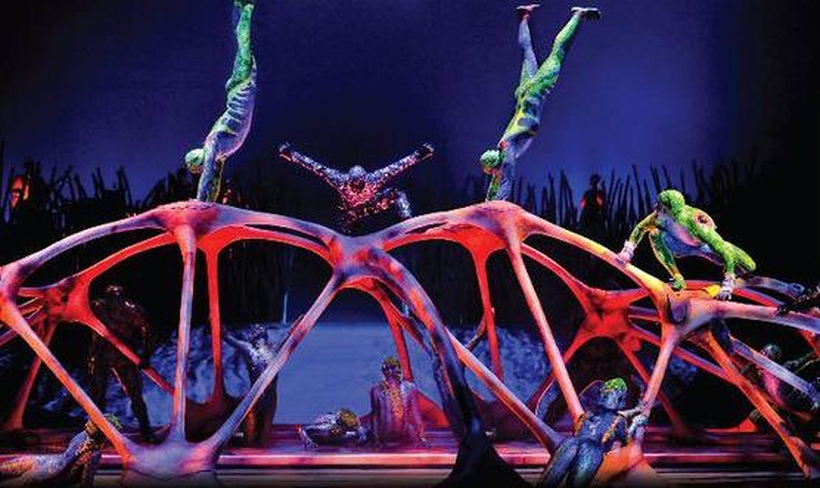 Un momento del espectáculo del Circo del Sol 'Totem'.