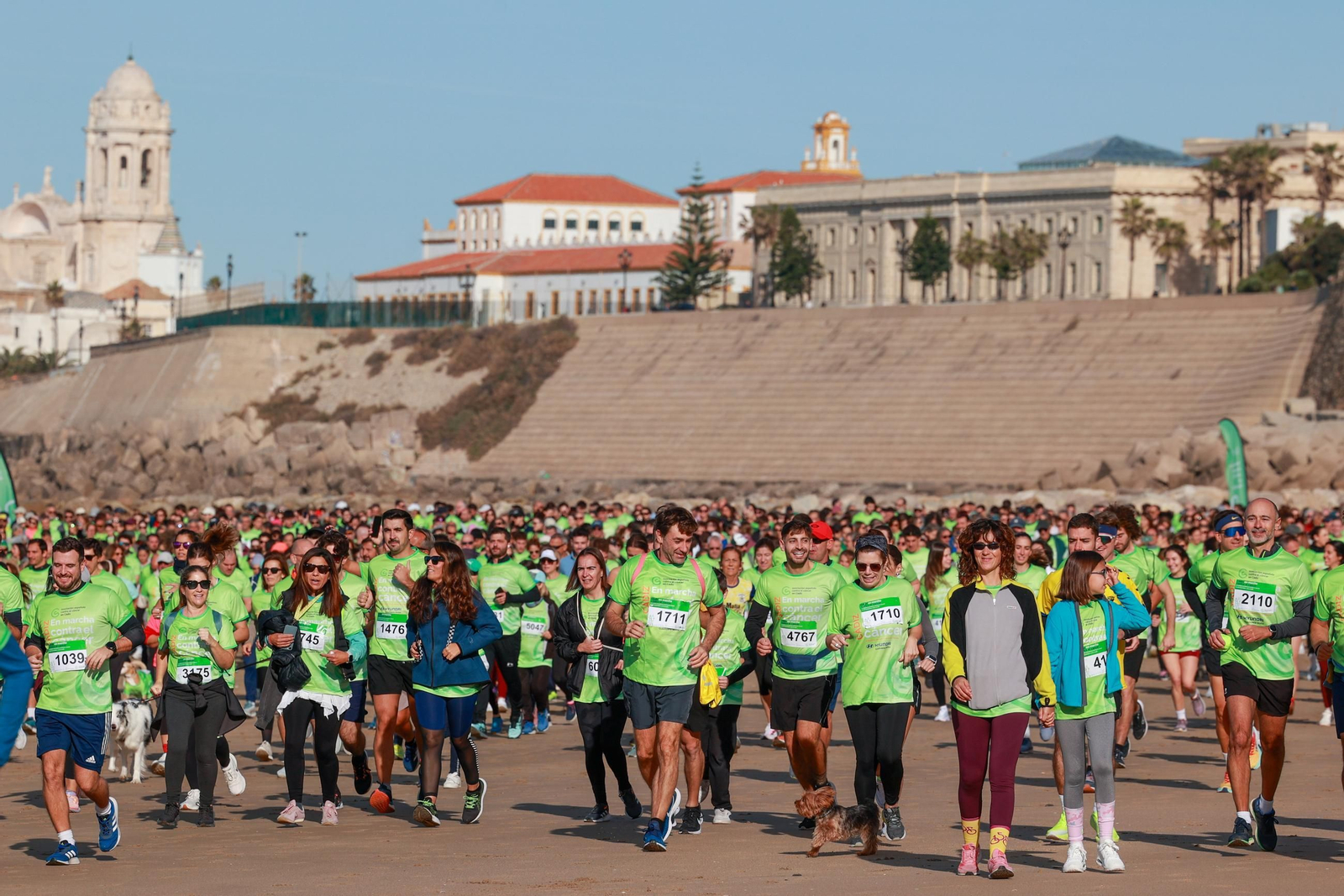 Búscate en las fotos de la XI Carrera en Marcha Contra el Cáncer de Cádiz