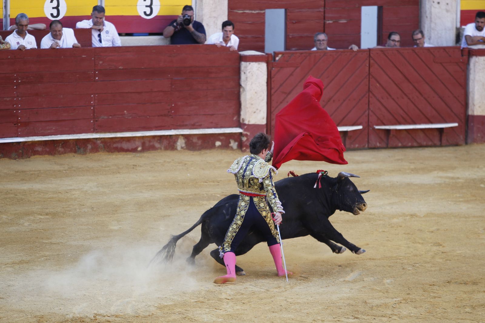 Fotogalería novillada Escuela Taurina de Almería. Feria de Almería 2019