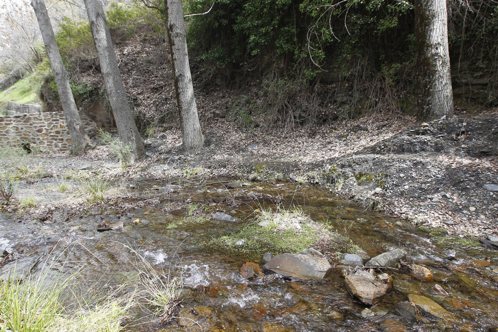 Naturaleza desconfinada. La Roza (Abrucena)