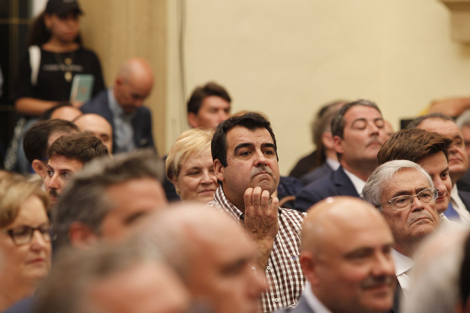 Pleno investidura Presidente Diputación de Almería. Javier Aureliano García