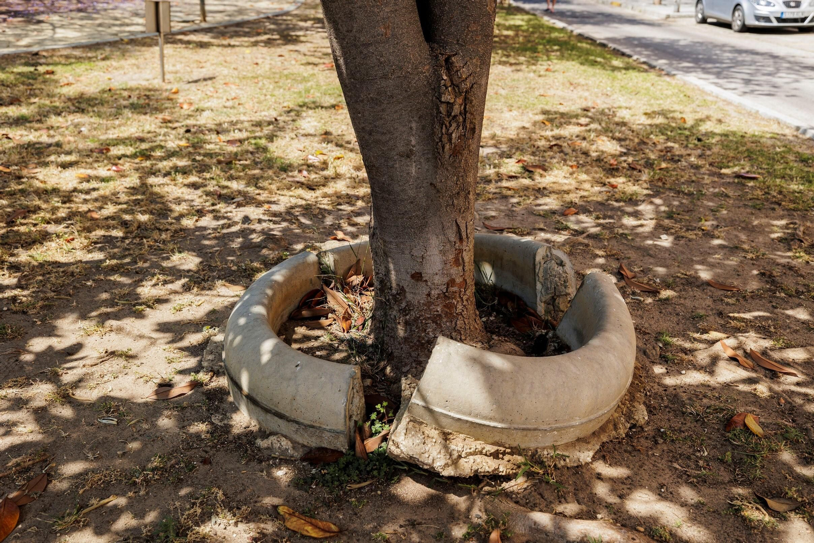 Las zonas verdes menos verdes de la ciudad de Cádiz