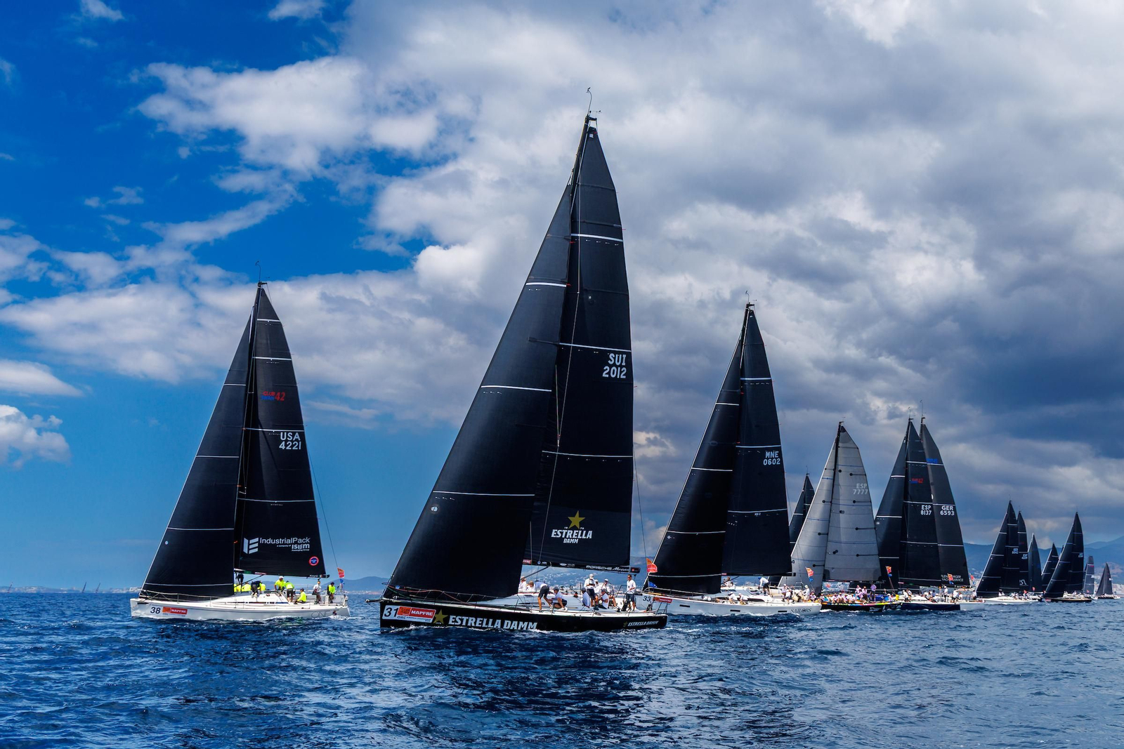 ORCA A Vela Regata (21).jpg