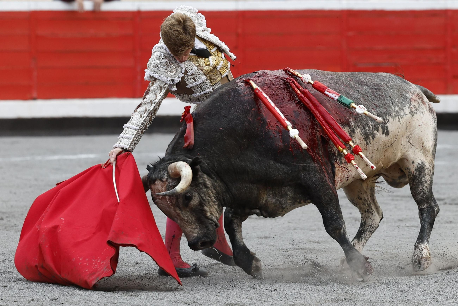 El toro embistió así en la muleta de Borja Jiménez.