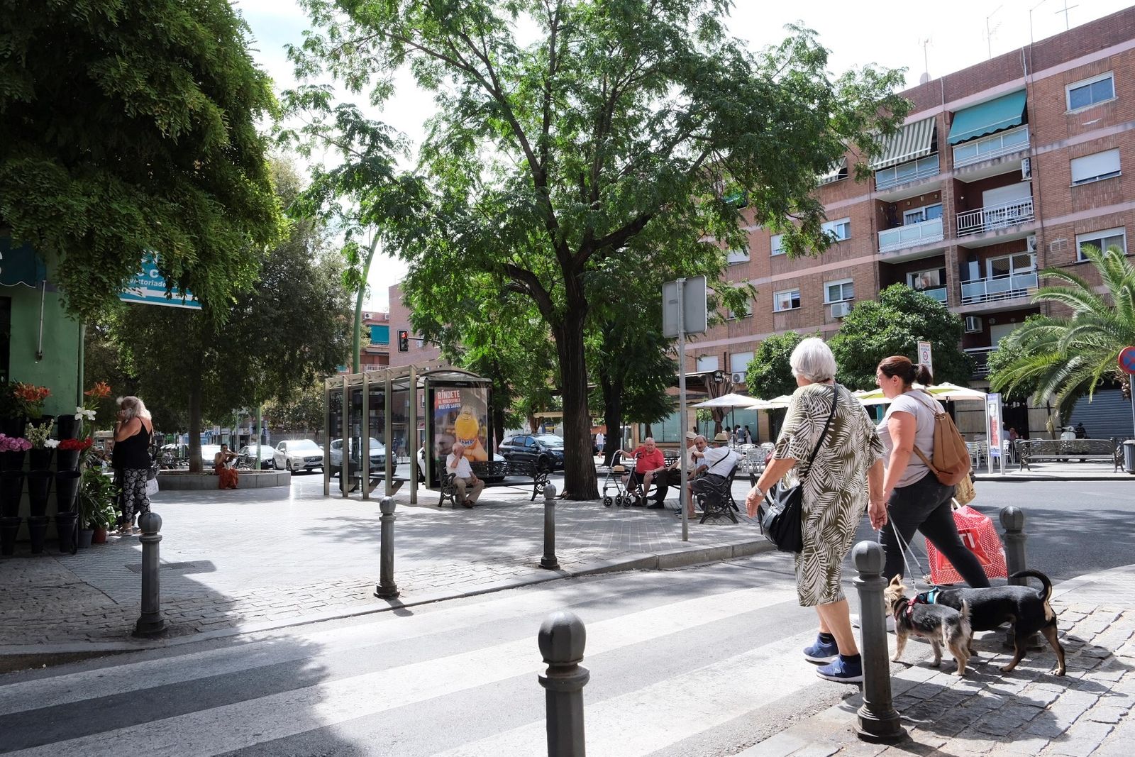 Un día de agosto en el barrio cordobés de Santa Rosa, en imágenes