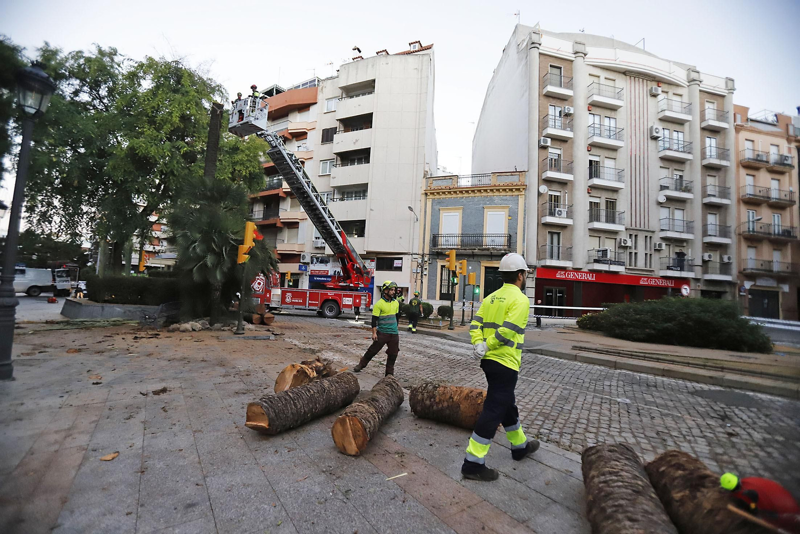 Imágenes de la tala de la emblemática Palmera de Huelva